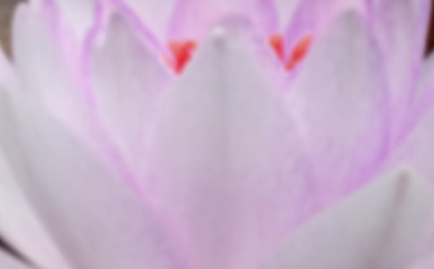 電視劇夏至未至文藝句子