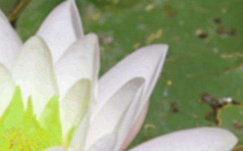 2022夏至節(jié)氣簡短問候語(精選165句)