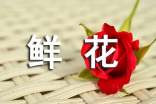 《鮮花》觀后感800字