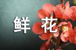 混搭鮮花插花養(yǎng)護(hù)小貼士