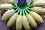 香蕉的營(yíng)養(yǎng)價(jià)值表