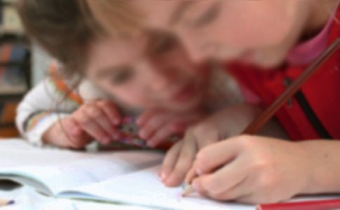 小學(xué)生憲法伴我成長的征文范文(精選19篇)