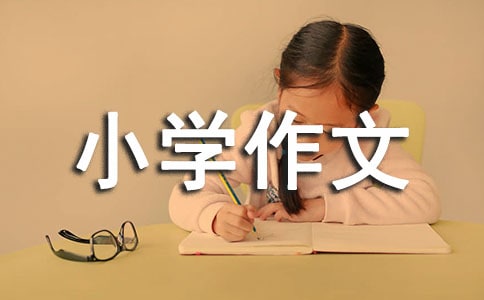 冬至小學(xué)作文集合8篇