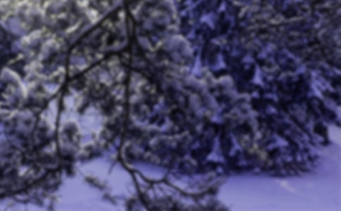 小雪節(jié)氣問候祝福語短信390句