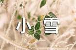 小學(xué)二年級上冊《小雪橇》教學(xué)反思(通用7篇)