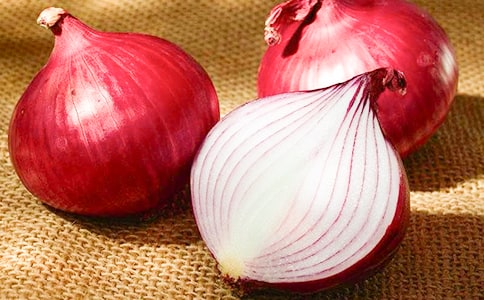 關(guān)于水培洋蔥的連續(xù)觀(guān)察日記(精選8篇)