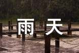 關(guān)于初冬的雨天唯美句子