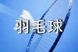 關(guān)于體育課羽毛球心得