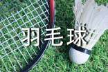 羽毛球比賽規(guī)則