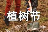 植樹節(jié)街道宣傳金句