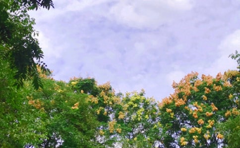 中午問候祝福語120句