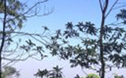 周五中午正能量簡短問候語(精選75句)