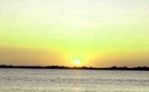 中午為何不能喝中藥