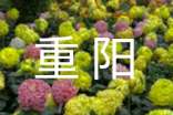 敬老院重陽(yáng)晚會(huì)策劃書(shū)