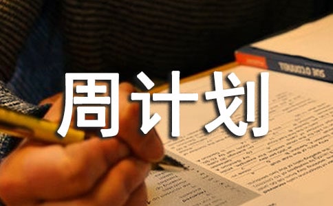 電銷周總結(jié)與周計劃