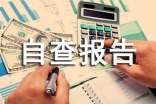 統(tǒng)計(jì)數(shù)據(jù)自查報(bào)告
