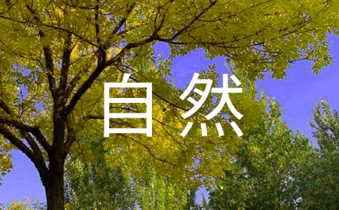 練好小提琴自然跳弓的四個要點(diǎn)