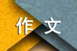 關(guān)于征文作文400字(精選50篇)