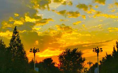 西湖的傍晚作文