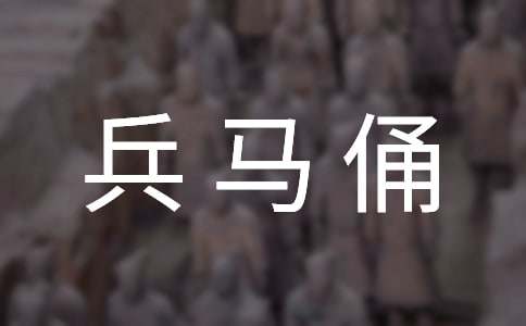 兵馬俑作文300字(精選27篇)