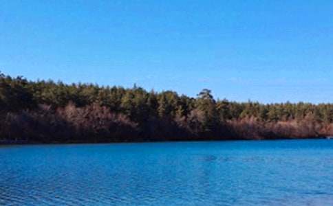 美麗的長白山作文700字