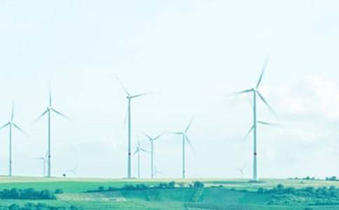 春風(fēng)拂面來初中作文