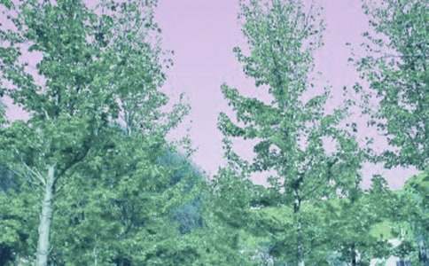 春風(fēng) 閱讀答案