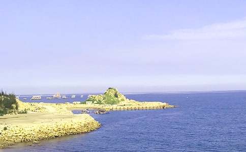 小水滴與大海作文500字_小學四年級作文