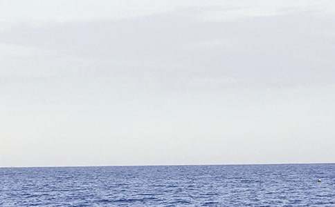 我來了大海作文