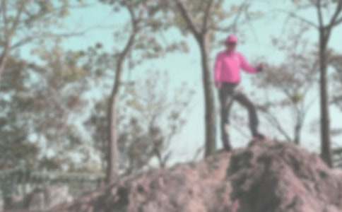 登山記敘文(精選57篇)