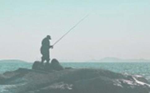 【熱】釣魚的作文