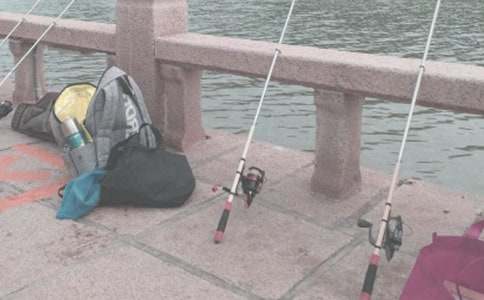 實用的釣魚的作文(錦集4篇)