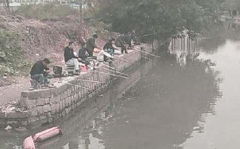 有關(guān)去釣魚的作文300字