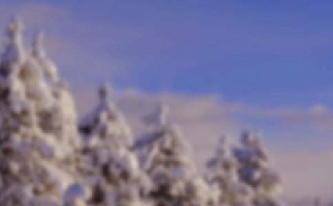 冬天雪景作文800字