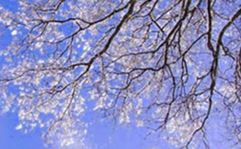 與冬天有關(guān)的作文11篇