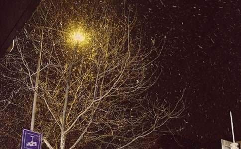 關(guān)于冬天的小路的作文