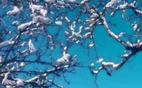 描寫(xiě)冬天冷什么的詞語(yǔ)