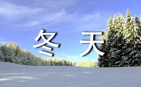 沒有雪的冬天小學生作文