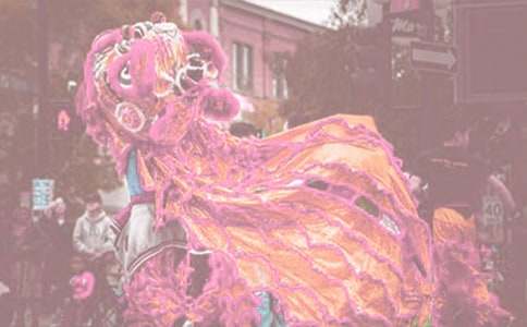 【精品】端午賽龍舟作文8篇