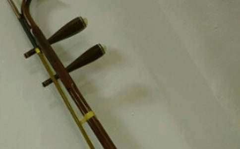 寫事作文:學(xué)習(xí)二胡