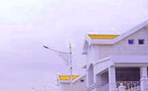 未來(lái)的房子 五年級(jí)想象作文500字