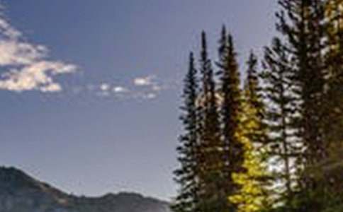 有關(guān)風(fēng)景作文300字(精選52篇)