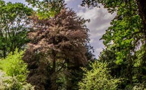 那道美麗的風景線作文通用12篇