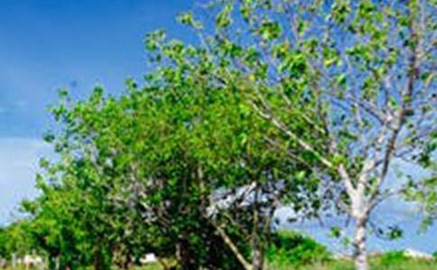 墨色的風(fēng)景作文