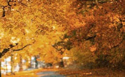 湖的風(fēng)景的作文300字(精選27篇)