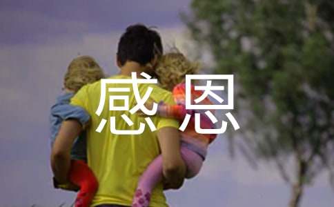 感恩活動方案范文