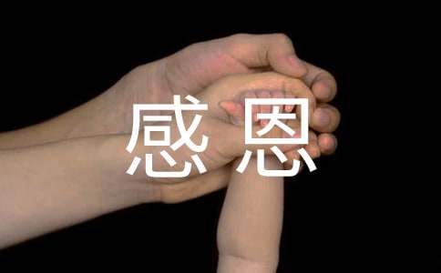 感恩父母的作文五百字