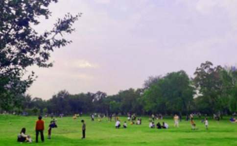 臨海東湖公園作文400字