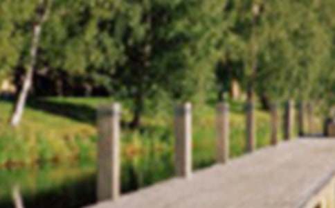 游西湖公園700字作文