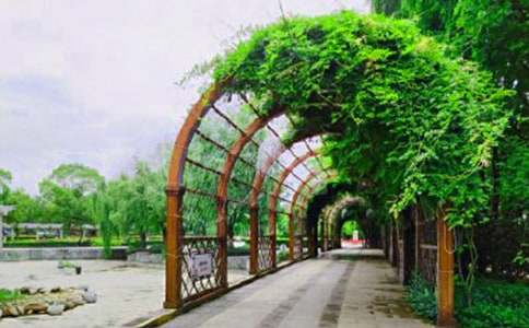 關于唐山南湖公園作文7篇